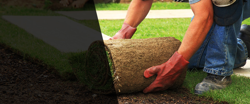 Bellerose Landscapers